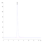 Human/Cynomolgus/Rhesus macaque ROR1 Protein (ROR-HM201)