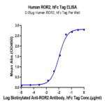 Human ROR2/NTRKR2 Protein (ROR-HM202)