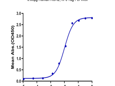 Human ROR2/NTRKR2 Protein (ROR-HM202)