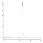 Human ROR2/NTRKR2 Protein (ROR-HM202)