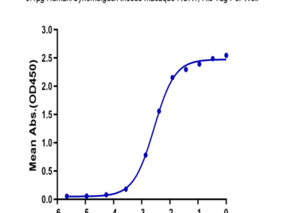 Human/Cynomolgus/Rhesus macaque ROR1 Protein (ROR-HM401)