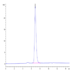 Human/Cynomolgus/Rhesus macaque ROR1 Protein (ROR-HM401)