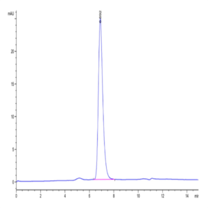 Human/Cynomolgus/Rhesus macaque ROR1 Protein (ROR-HM401)