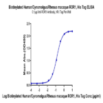 Biotinylated Human/Cynomolgus/Rhesus macaque ROR1 Protein (ROR-HM401B)