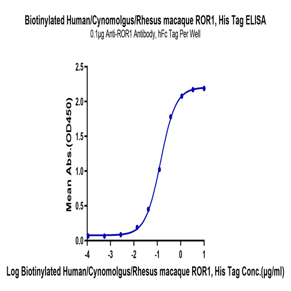 Biotinylated Human/Cynomolgus/Rhesus macaque ROR1 Protein (ROR-HM401B) Biotinylated Human/Cynomolgus/Rhesus macaque ROR1 Protein (ROR-HM401B)