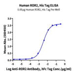 Human ROR2/NTRKR2 Protein (ROR-HM402)