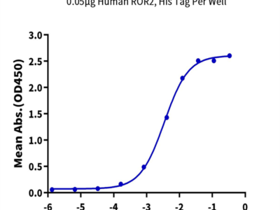 Human ROR2/NTRKR2 Protein (ROR-HM402)