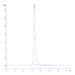 Human ROR2/NTRKR2 Protein (ROR-HM402)