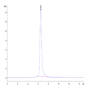 Human ROR2/NTRKR2 Protein (ROR-HM402)