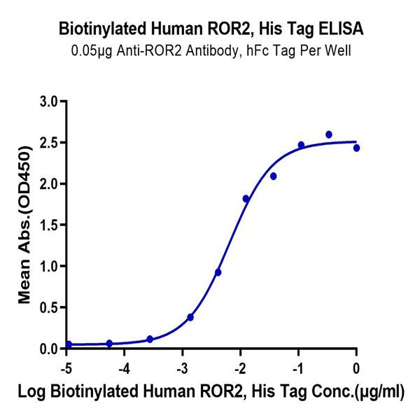 Biotinylated Human ROR2/NTRKR2 Protein (ROR-HM402B) Biotinylated Human ROR2/NTRKR2 Protein (ROR-HM402B)
