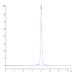 Mouse ROR1 Protein (ROR-MM101)