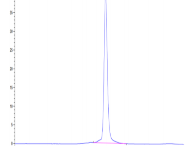 Mouse ROR1 Protein (ROR-MM101)