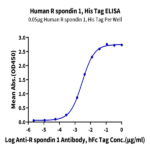 Human R spondin 1/RSPO1 Protein (RS1-HM101)