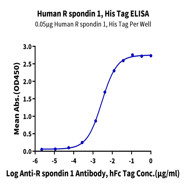 Human R spondin 1/RSPO1 Protein (RS1-HM101) Human R spondin 1/RSPO1 Protein (RS1-HM101)