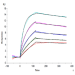 Human R spondin 3/RSPO3 Protein (RSP-HM103)