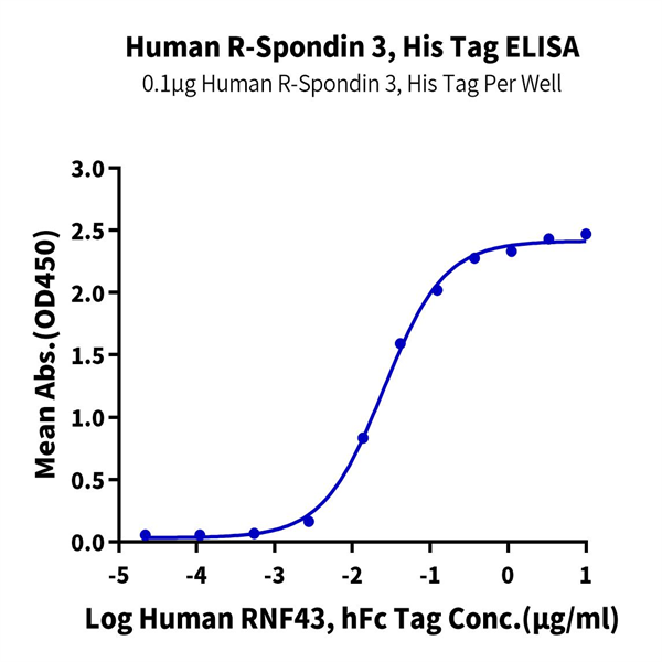 Human R spondin 3/RSPO3 Protein (RSP-HM103)