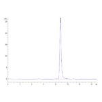 Rat Alkaline Phosphatase (Germ type) ALPG Protein , APE-RM103