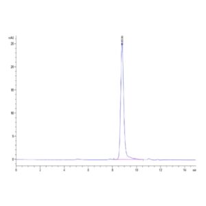 Rat Alkaline Phosphatase (Germ type) /ALPG Protein , APE-RM103 Ushelf