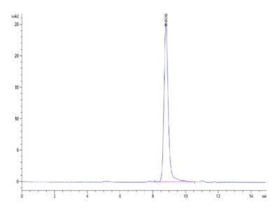 Rat Alkaline Phosphatase (Germ type) /ALPG Protein , APE-RM103 Ushelf