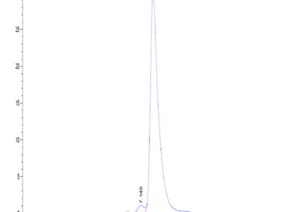 Canine S100B Protein (S10-DM20B)