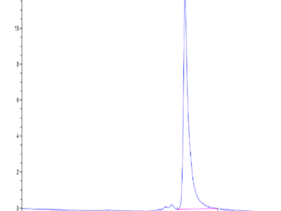 Human S100A14 Protein (SA4-HE114)