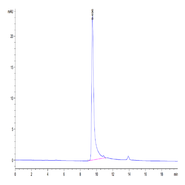 Human S100A8 Protein (SA8-HE101) Human S100A8 Protein (SA8-HE101)