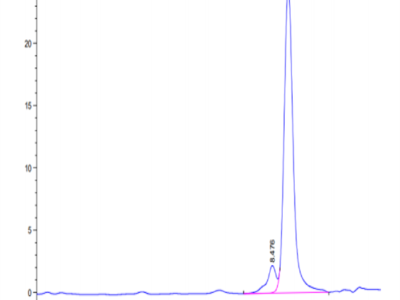 Canine S100A9/MRP14 Protein (SA9-DE101)