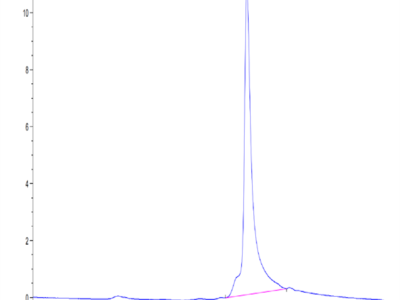 Human S100A9/MRP14 Protein (SA9-HE101)