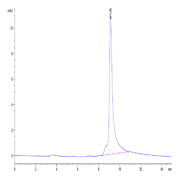 Human S100A9/MRP14 Protein (SA9-HE101) Human S100A9/MRP14 Protein (SA9-HE101)