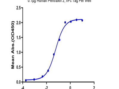 Human Pentraxin 2/SAP Protein (SAP-HM201)