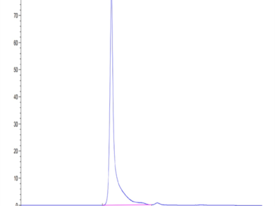 Mouse Pentraxin 2/SAP Protein (SAP-MM201)