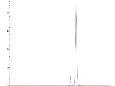 SARS PLpro/papain-like protease Protein (SAR-VE101)