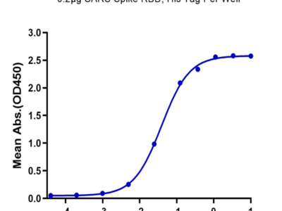 SARS Spike RBD Protein (SAR-VM4BD)