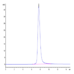 SARS Spike RBD Protein (SAR-VM4BD)