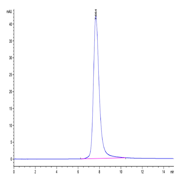 SARS Spike RBD Protein (SAR-VM4BD)