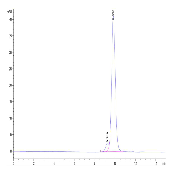 Biotinylated SARS Spike RBD Protein (SAR-VM4BDB)