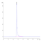 SARS Spike S1 Protein (SAR-VM4S1)