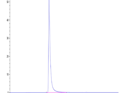 SARS Spike S1 Protein (SAR-VM4S1)