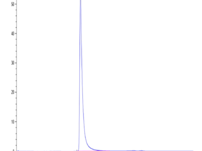 Biotinylated SARS Spike S1 Protein (SAR-VM4S1B)