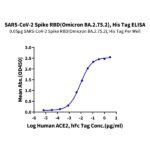 SARS-CoV-2 Spike RBD (Omicron BA.2.75.2) Protein , BA2-HM152