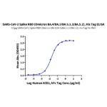 SARS-CoV-2 Spike RBD (Omicron BA.4BA.5BA.5.1.3BA.5.2) Protein , BA4-VM145