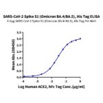 SARS-CoV-2 Spike S1 (Omicron BA.4BA.5BA.5.2) Protein , BAS-VM145