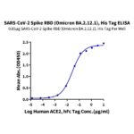 SARS-Cov-2 Spike RBD (Omicron BA.2.12.1) Protein , BA2-VM121