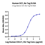Human SCF Protein (SCF-HE001)