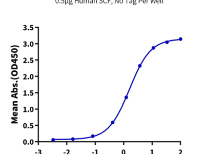 Human SCF Protein (SCF-HE001)