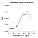 Human SCF Protein (SCF-HE001)