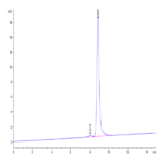 Human SCF Protein (SCF-HE001)