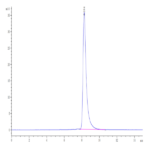 Human SECTM1 Protein (SEC-HM201)