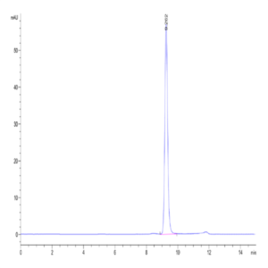 Human SETD7 Protein (SED-HM107)