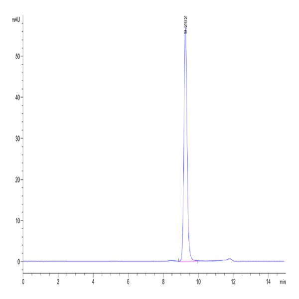 Human SETD7 Protein (SED-HM107) Human SETD7 Protein (SED-HM107)